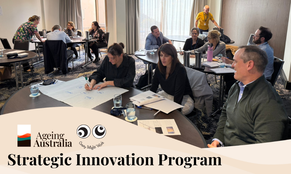 Strategic Innovation Program